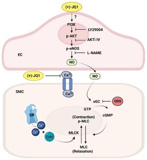 JQ1 .